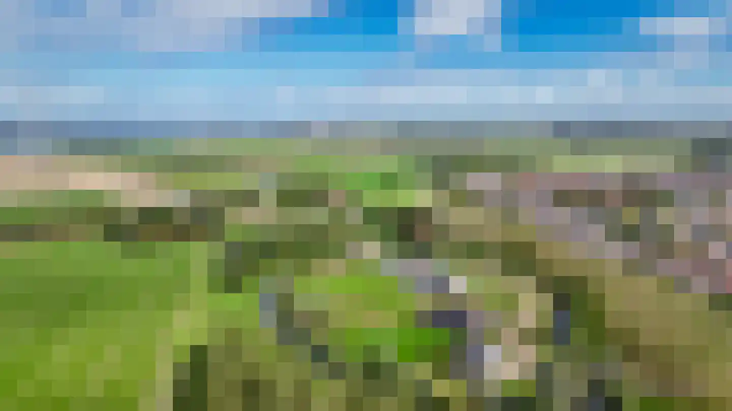 Westcreecke 7 Dinteloord thumbnail 65