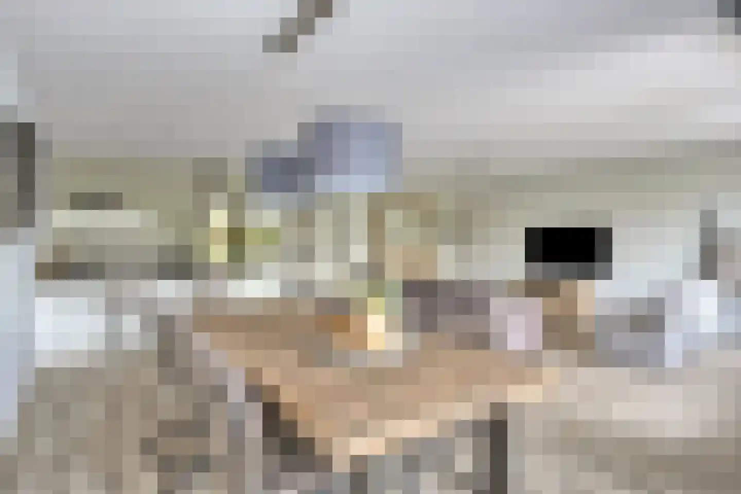 Westdam 1 j 1 Steenbergen thumbnail 31