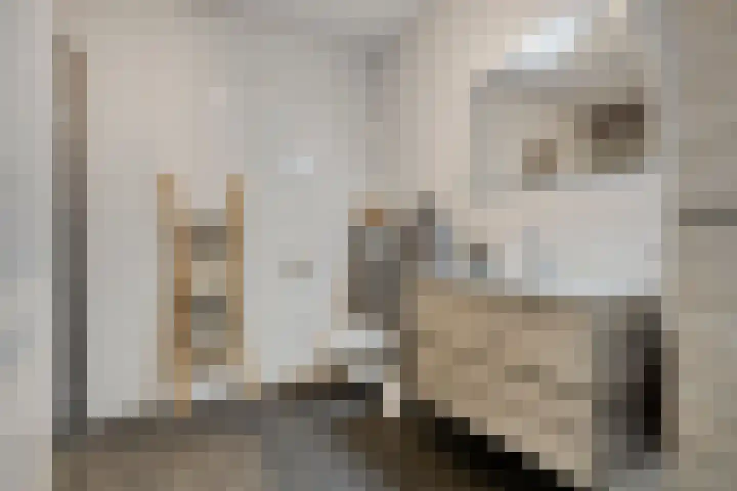 Westdam 1 j 1 Steenbergen thumbnail 38