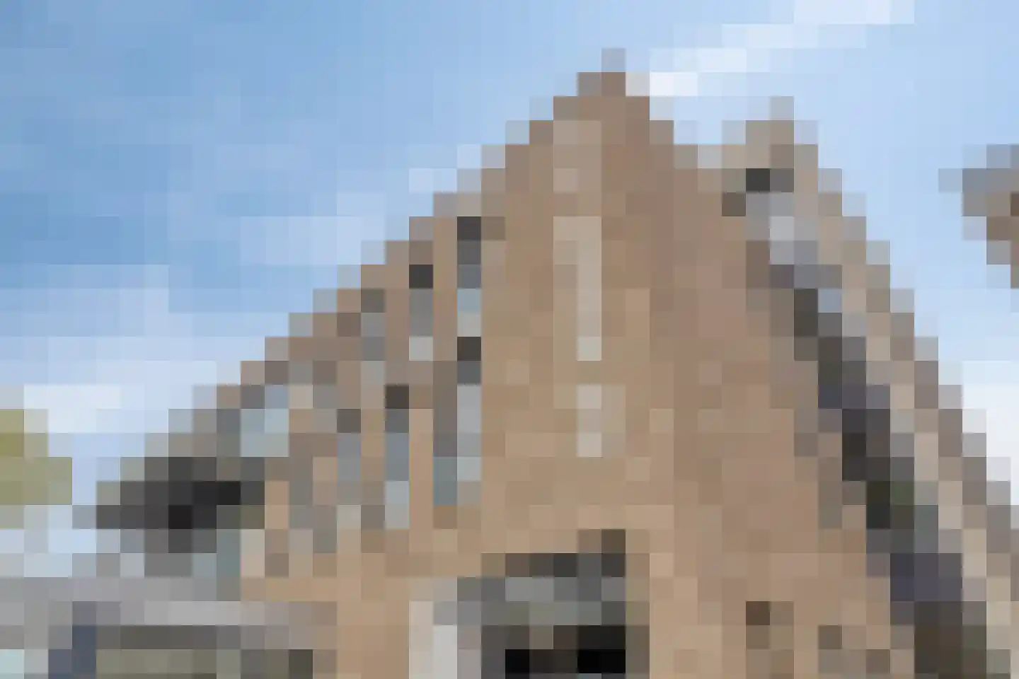Westdam 1 j 1 Steenbergen thumbnail 47