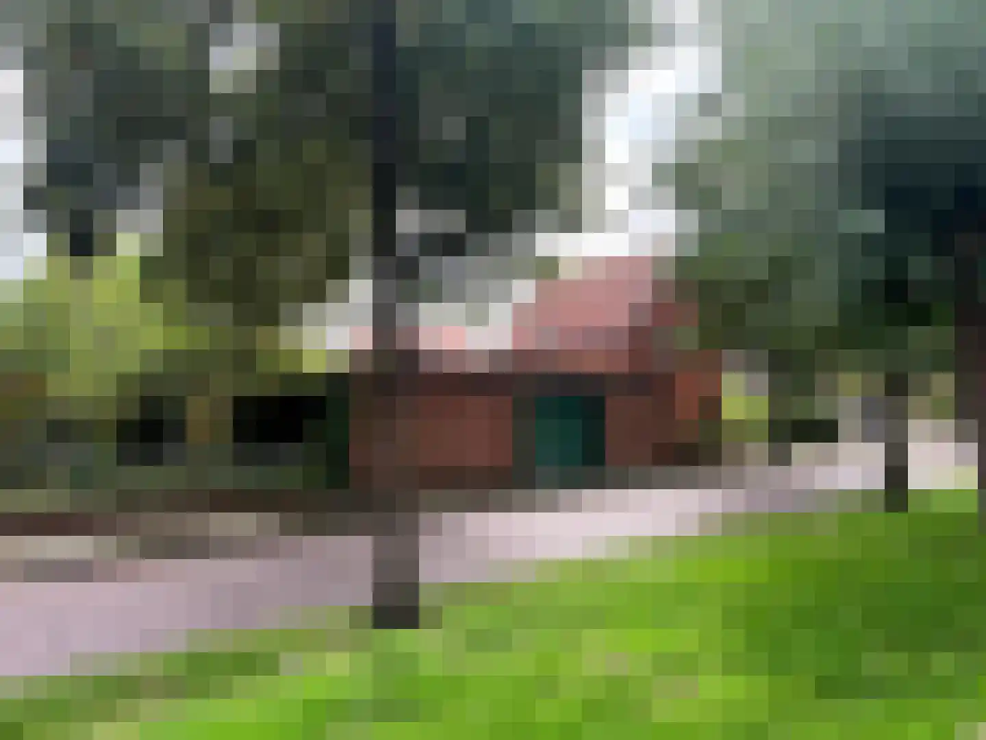 Westdam 1 Sas van Gent thumbnail 8