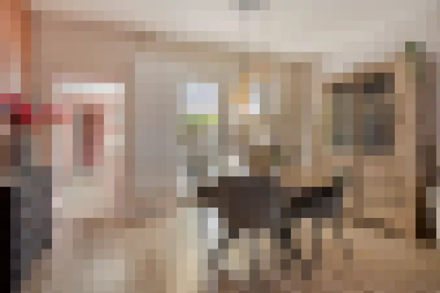 Westdam 11 Sas van Gent thumbnail 10