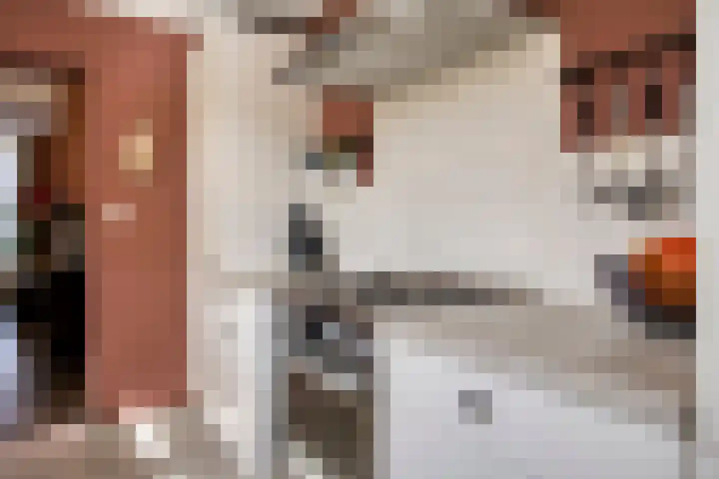 Westdam 11 Sas van Gent thumbnail 12