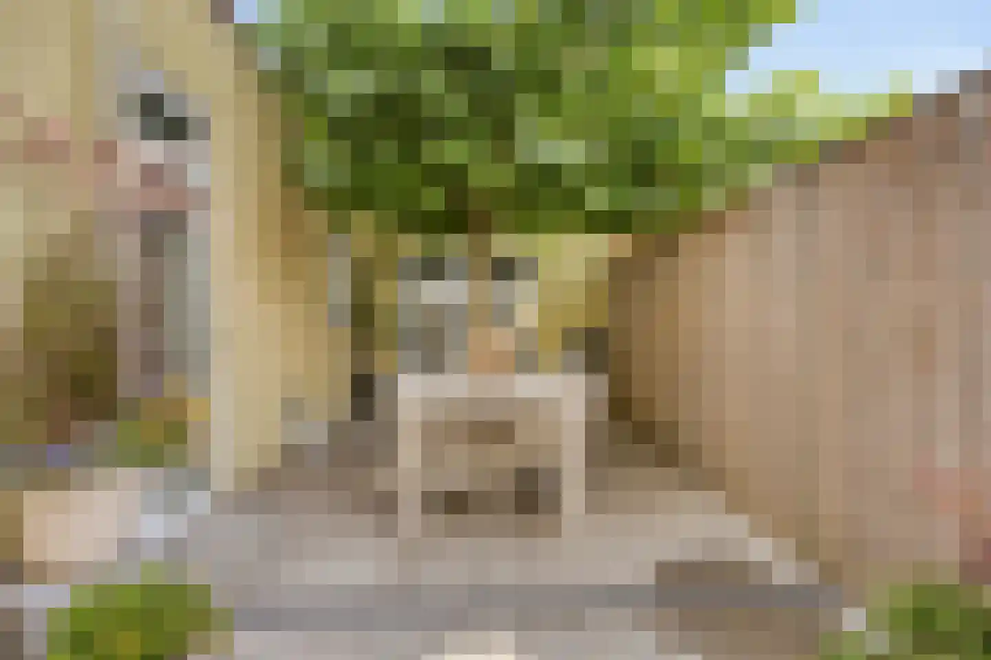 Westdam 11 Sas van Gent thumbnail 22