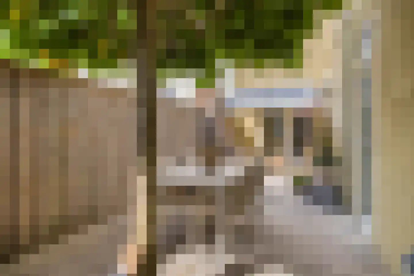 Westdam 11 Sas van Gent thumbnail 23