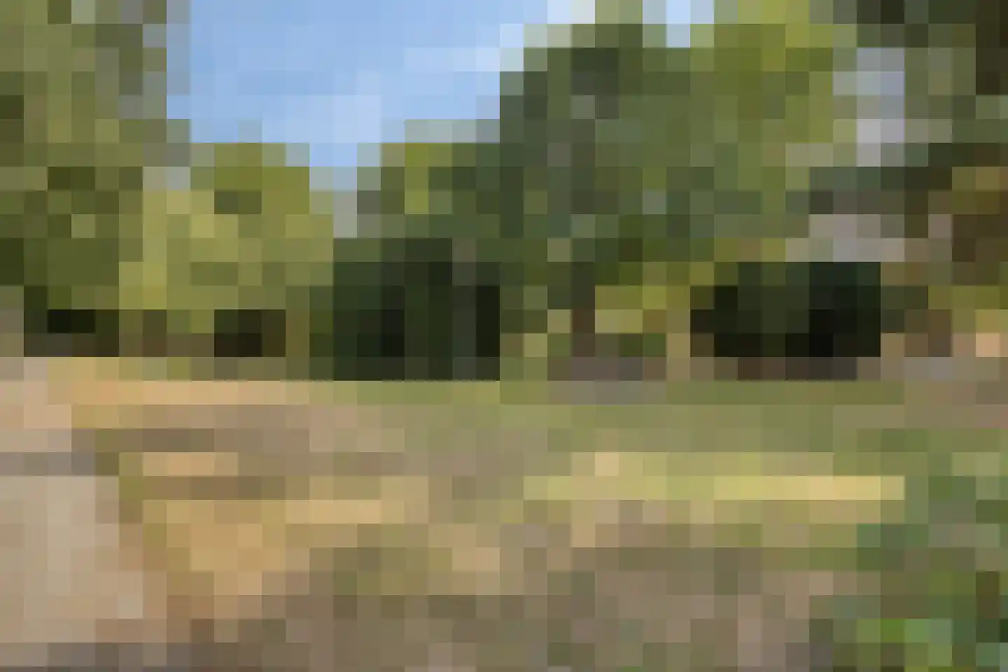 Westdam 11 Sas van Gent thumbnail 25