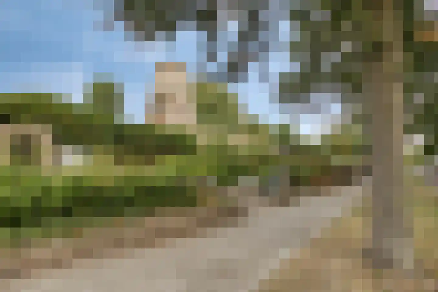Westdam 11 Sas van Gent thumbnail 26