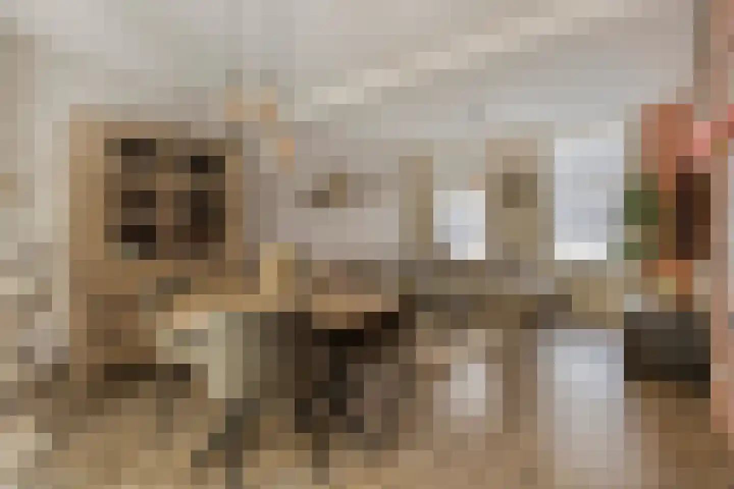 Westdam 11 Sas van Gent thumbnail 4