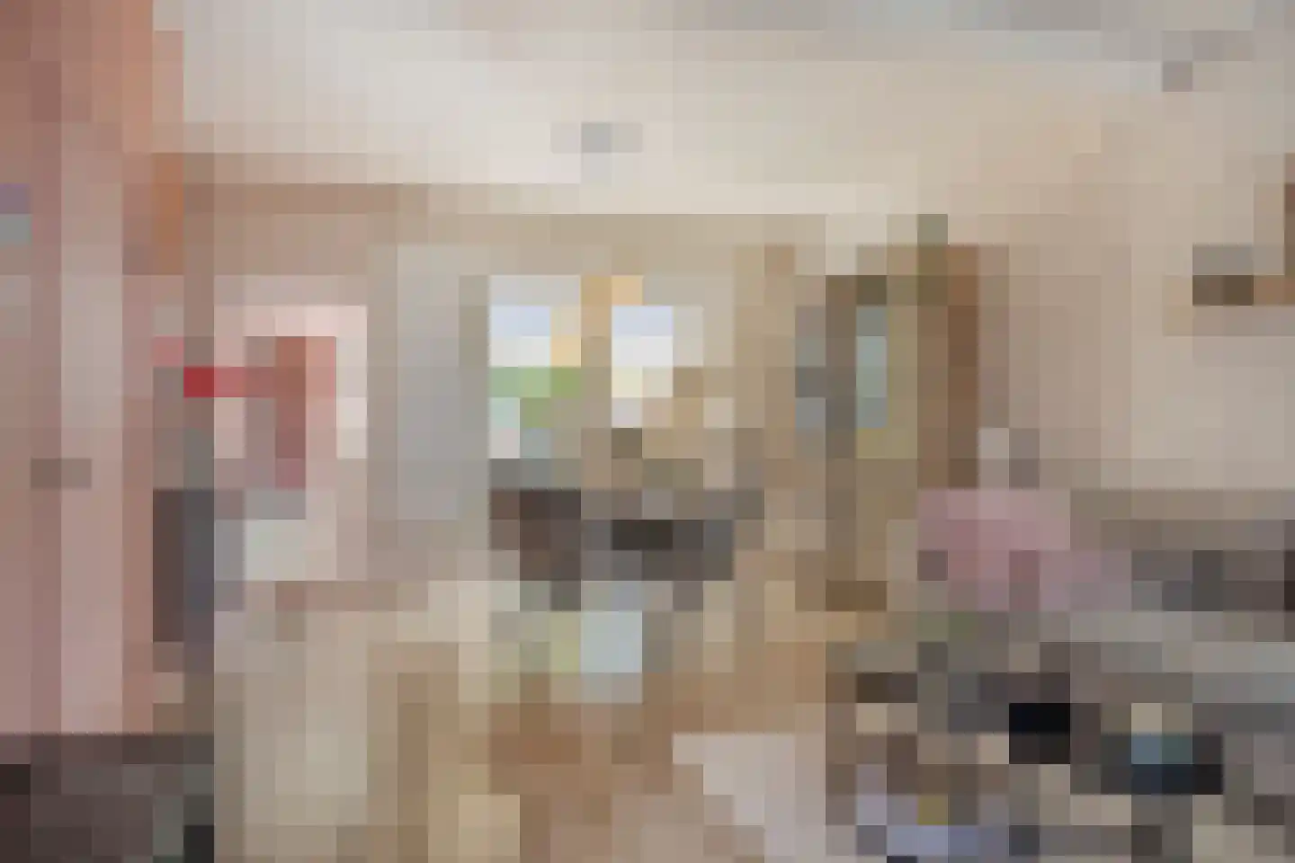 Westdam 11 Sas van Gent thumbnail 9