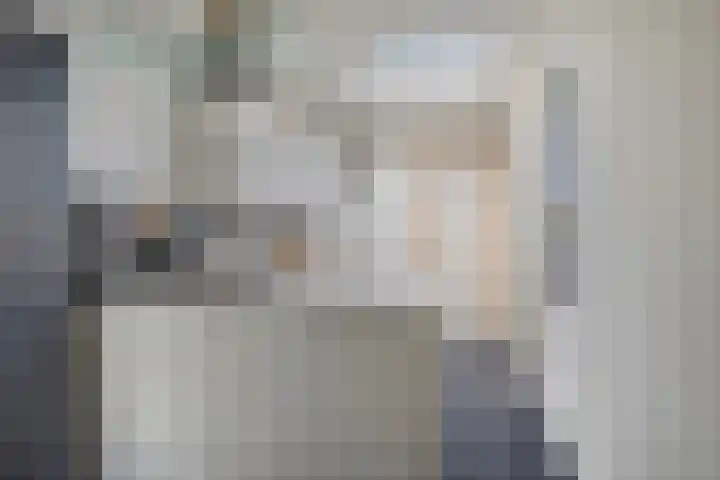 Westdam 12 Sas van Gent thumbnail 13