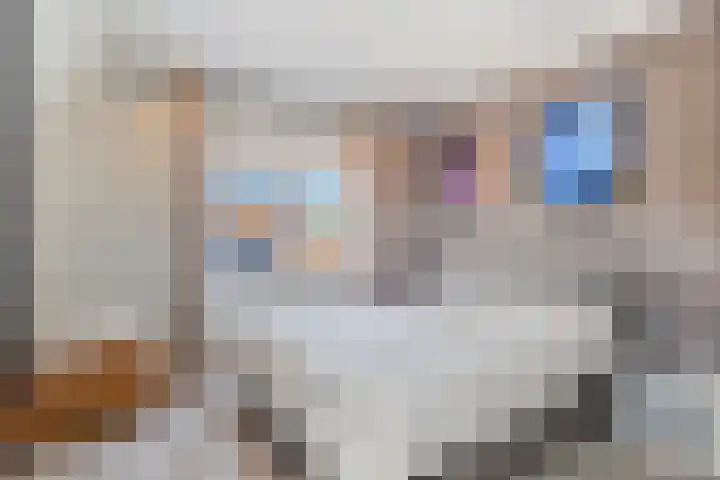 Westdam 12 Sas van Gent thumbnail 17