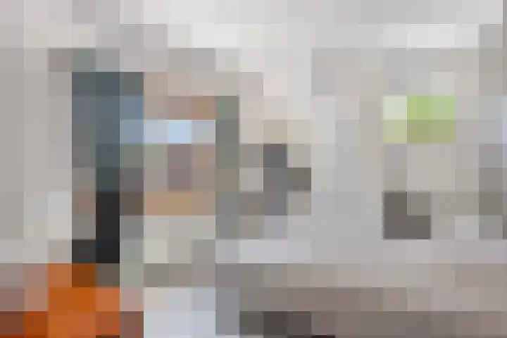 Westdam 12 Sas van Gent thumbnail 19