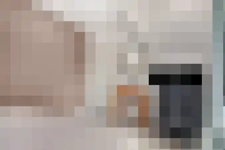 Westdam 12 Sas van Gent thumbnail 20