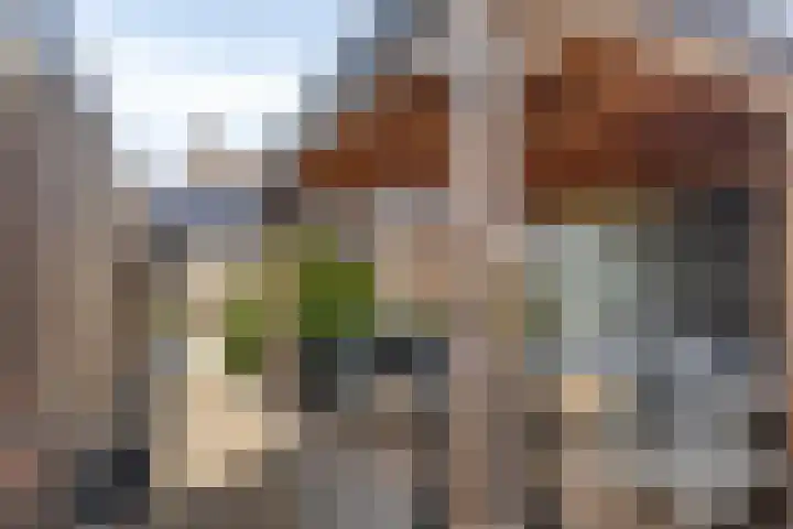 Westdam 12 Sas van Gent thumbnail 22