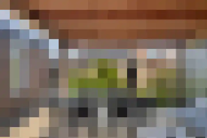 Westdam 12 Sas van Gent thumbnail 23