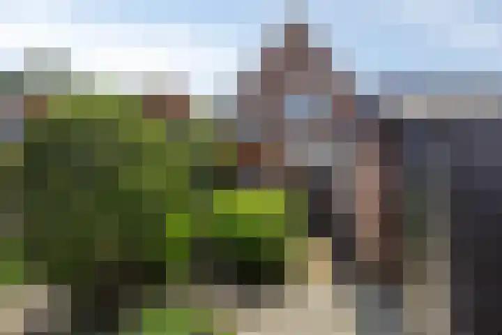 Westdam 12 Sas van Gent thumbnail 24