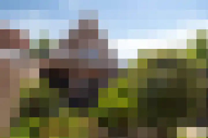 Westdam 12 Sas van Gent thumbnail 25