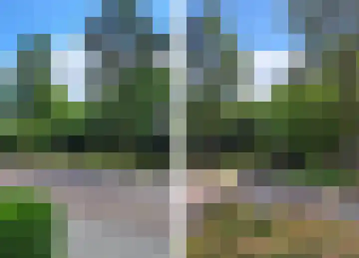 Westdam 12 Sas van Gent thumbnail 27