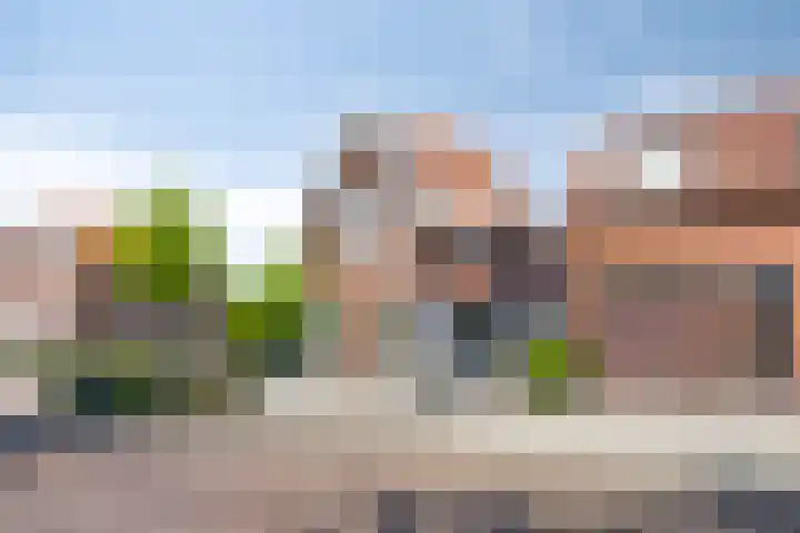 Westdam 12 Sas van Gent thumbnail 6