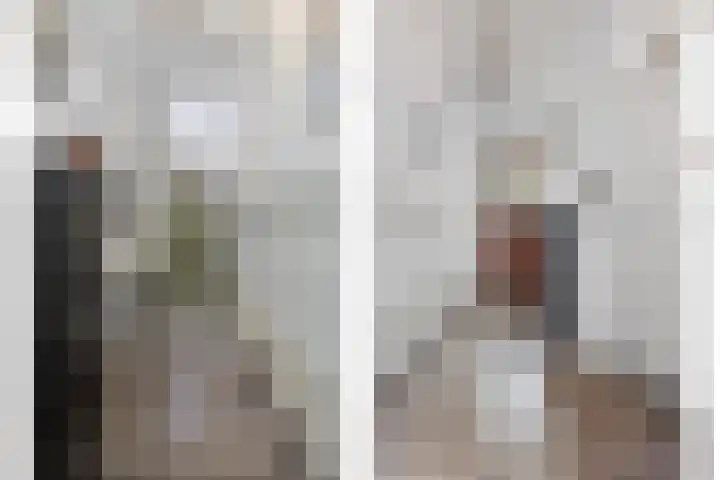Westdam 12 Sas van Gent thumbnail 8