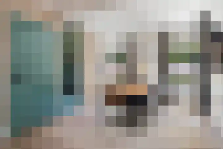 Westdam 12 Sas van Gent thumbnail 9