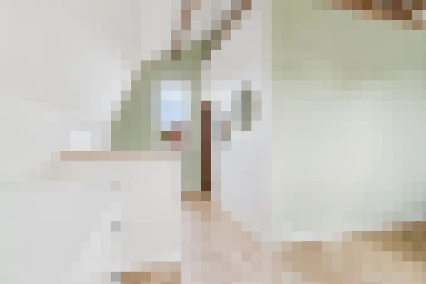 Westdam 13 Sas van Gent thumbnail 28
