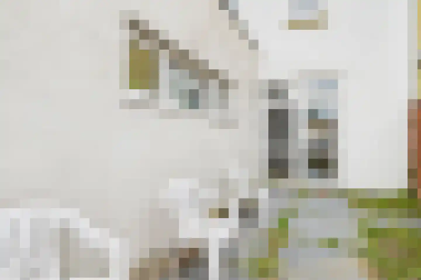 Westdam 13 Sas van Gent thumbnail 32