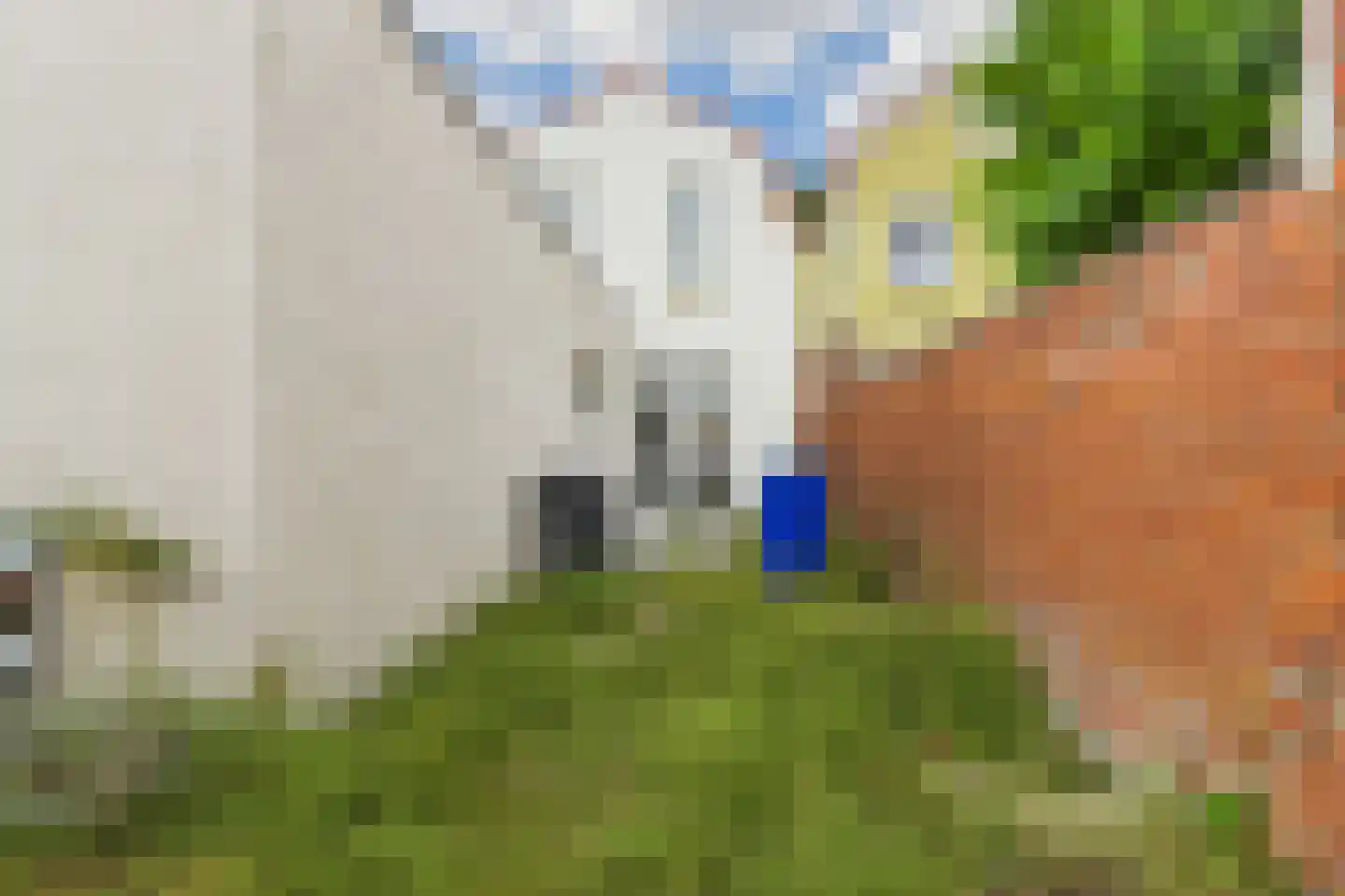 Westdam 13 Sas van Gent thumbnail 34