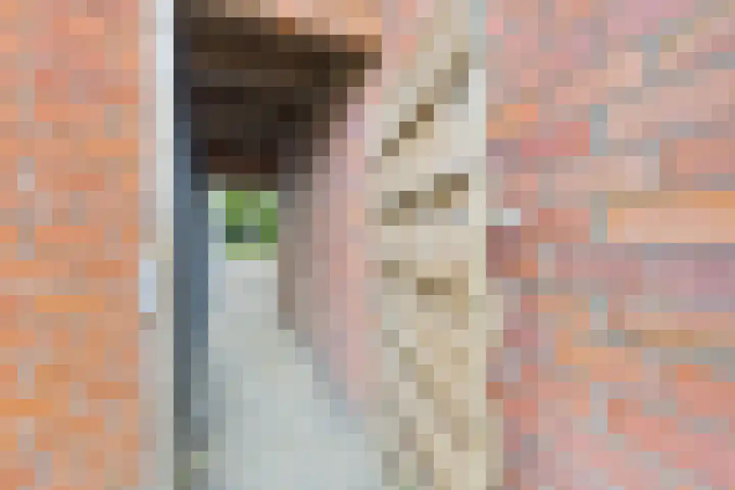 Westdam 13 Sas van Gent thumbnail 36