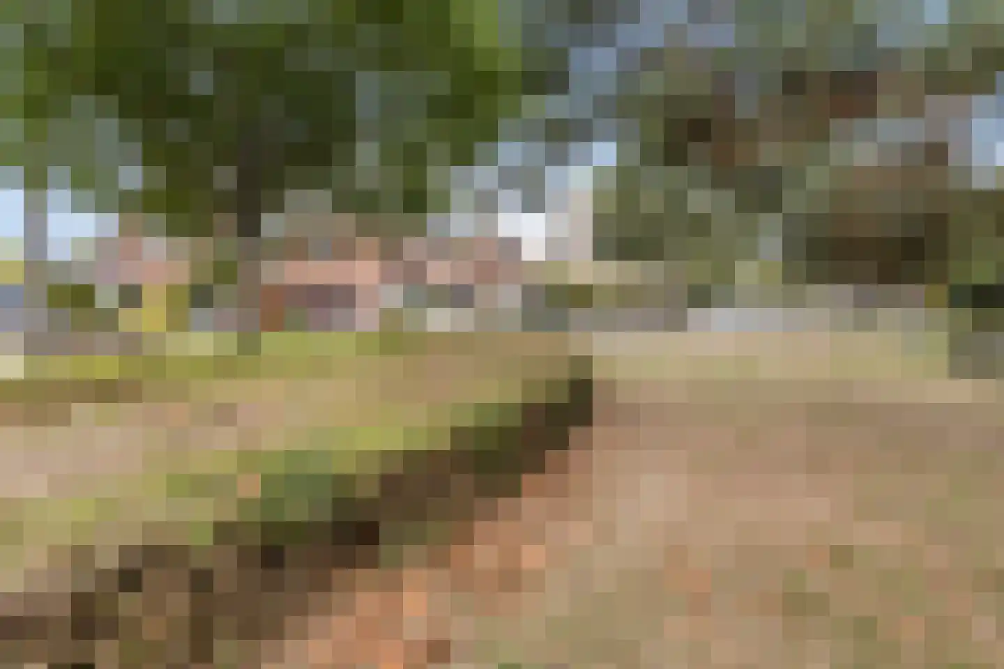 Westdam 13 Sas van Gent thumbnail 39
