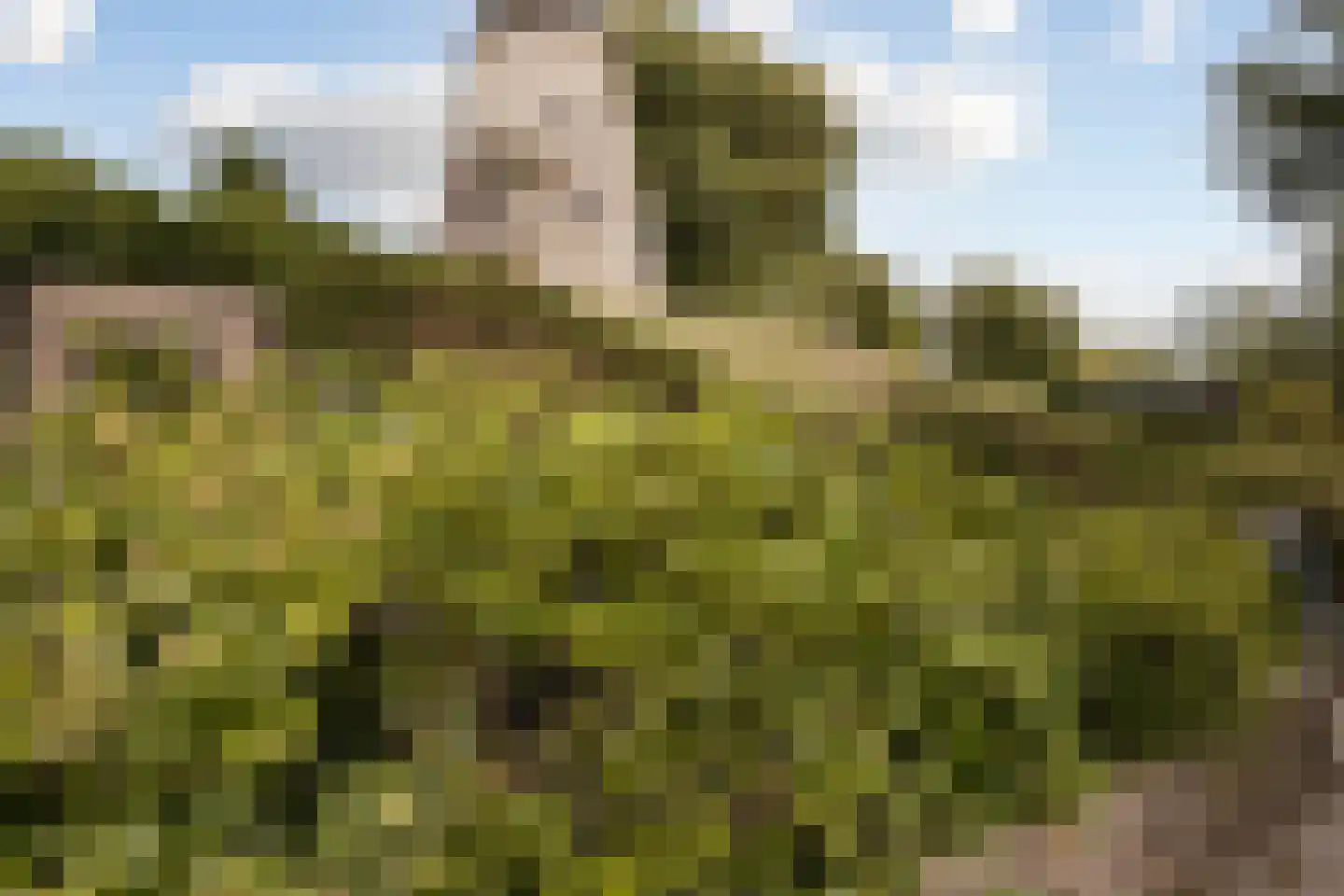 Westdam 13 Sas van Gent thumbnail 40