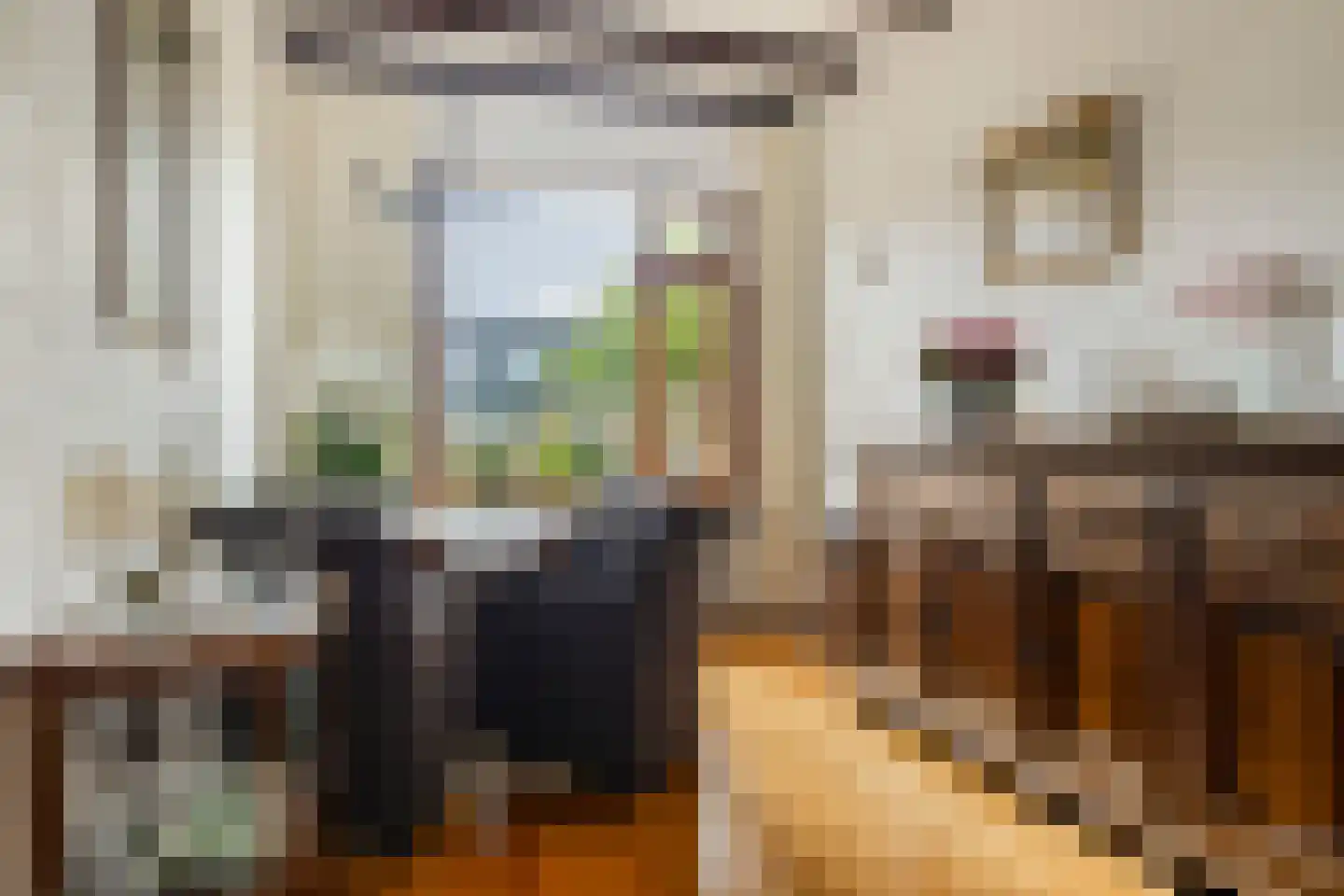 Westdam 22 Sas van Gent thumbnail 7