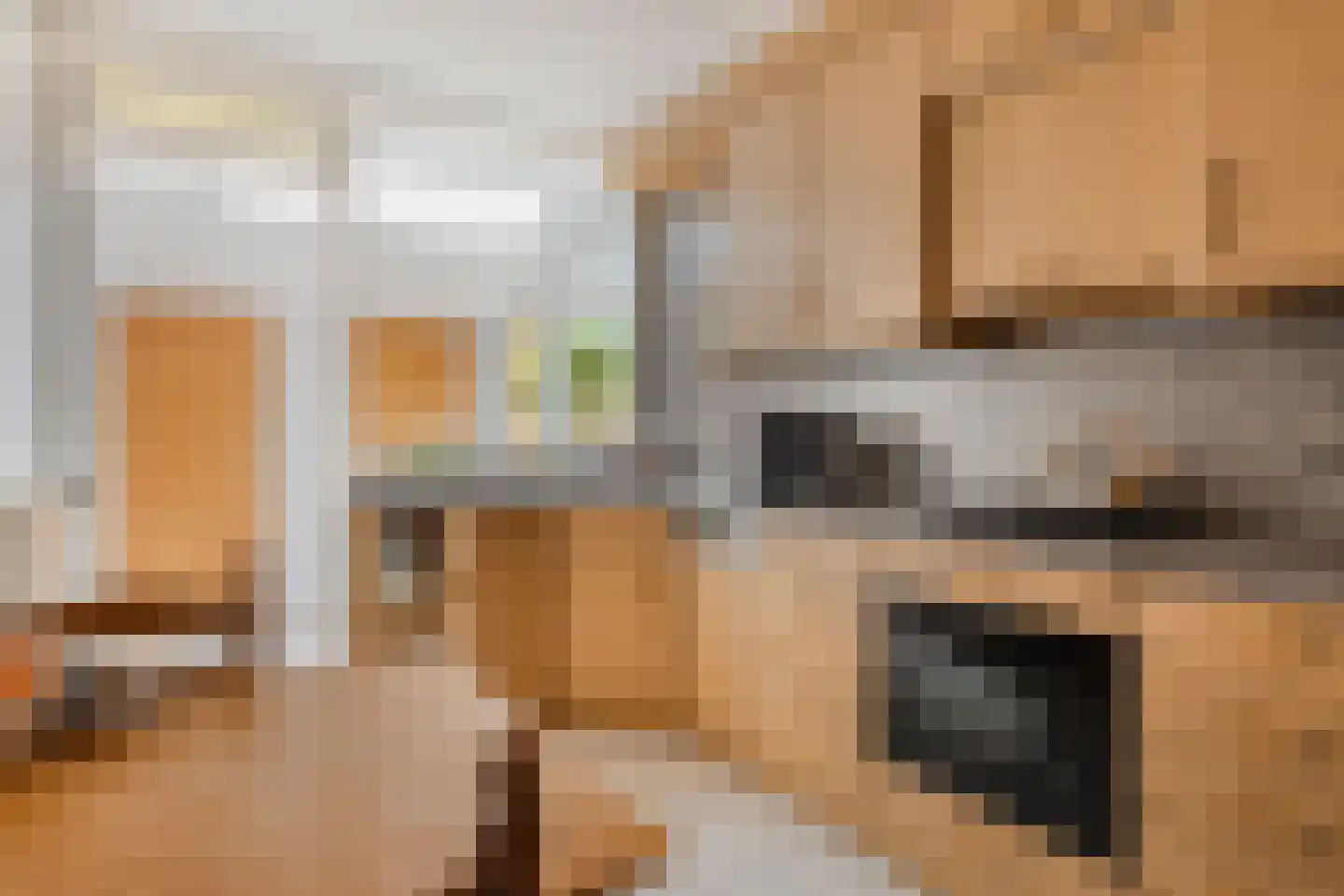 Westdam 22 Sas van Gent thumbnail 10