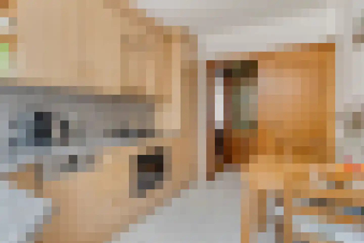 Westdam 22 Sas van Gent thumbnail 15