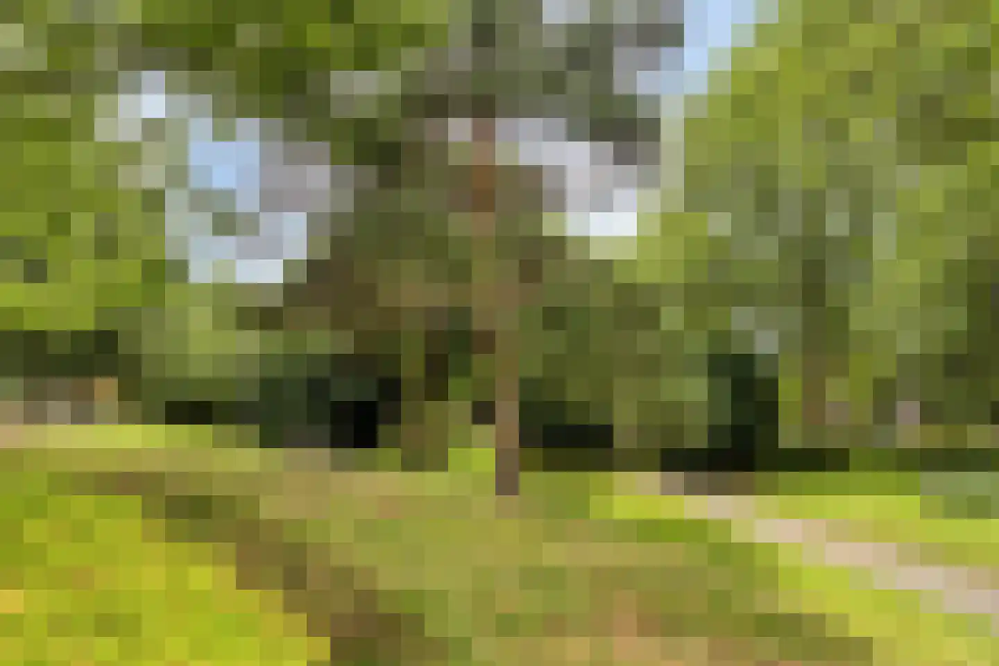 Westdam 22 Sas van Gent thumbnail 27