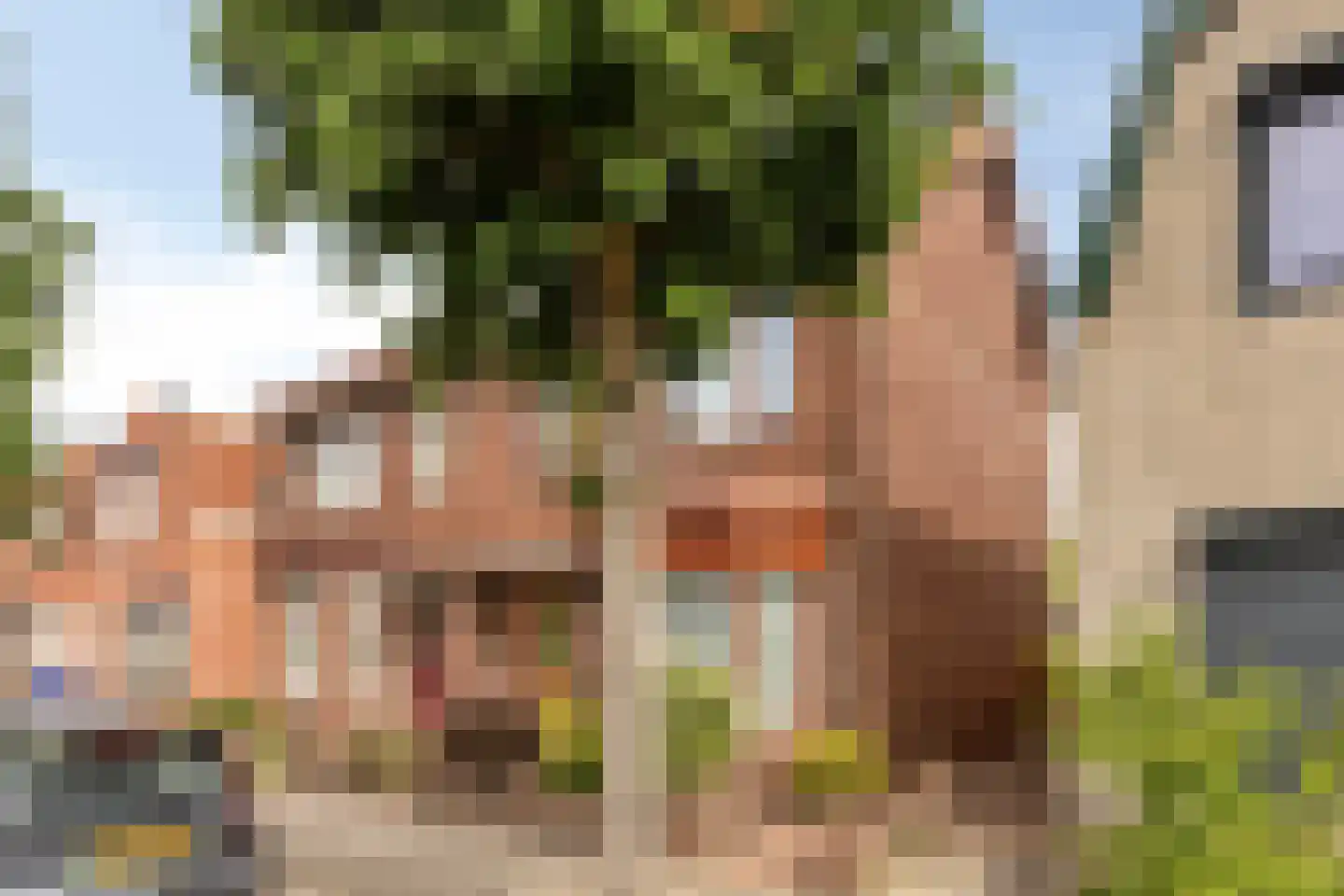 Westdam 22 Sas van Gent thumbnail 5