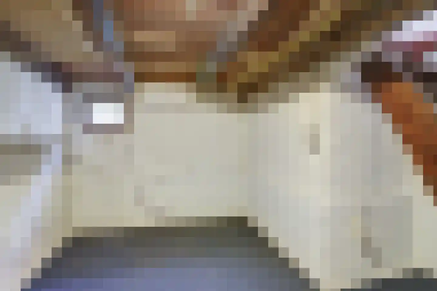 Westdam 34 Steenbergen thumbnail 27