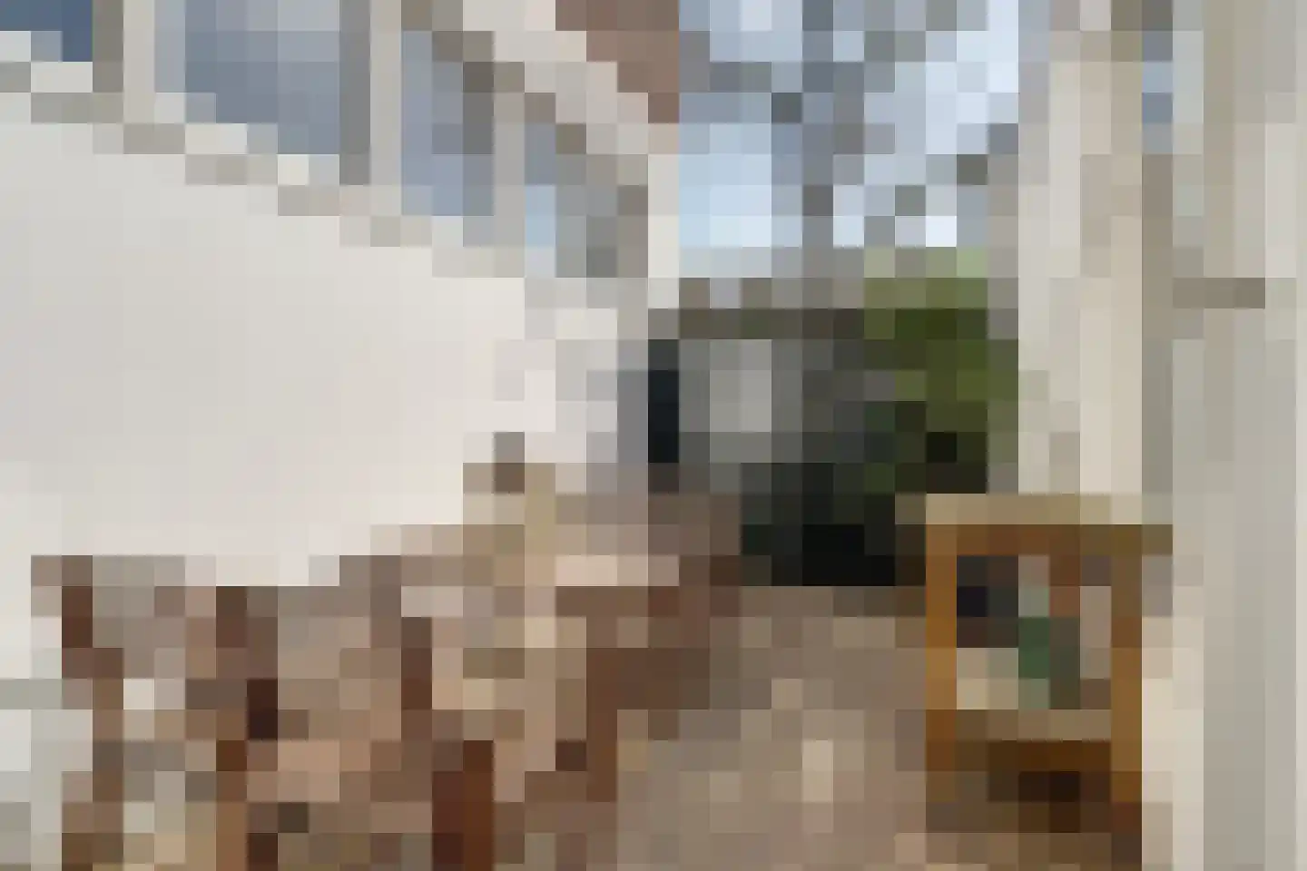 Westdam 34 Steenbergen thumbnail 28