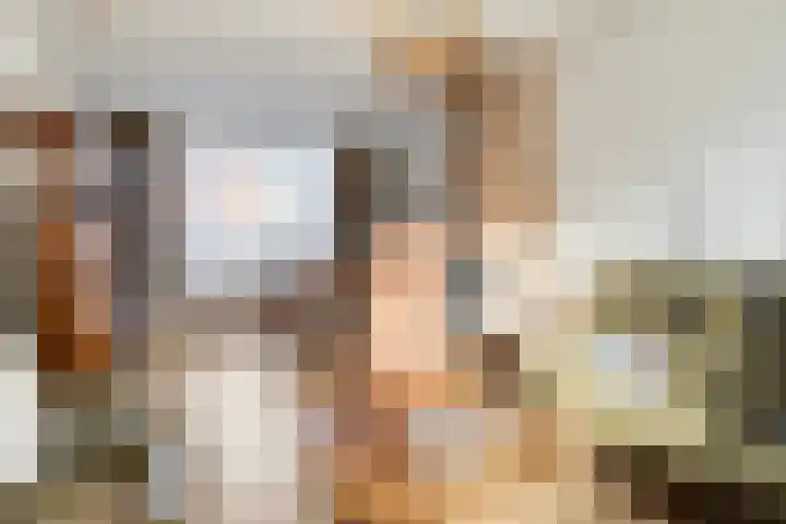 Westdam 56 Sas van Gent thumbnail 4