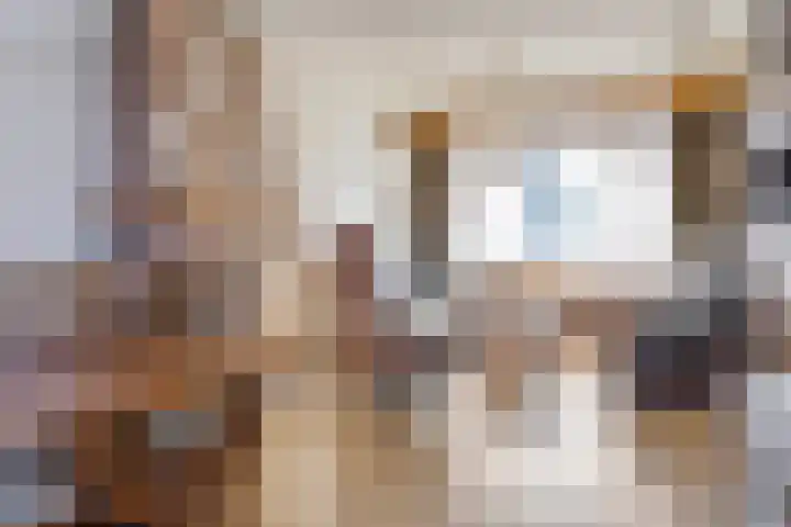 Westdam 56 Sas van Gent thumbnail 6