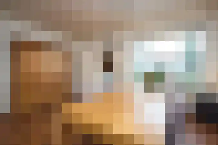 Westdam 77 Sas van Gent thumbnail 8