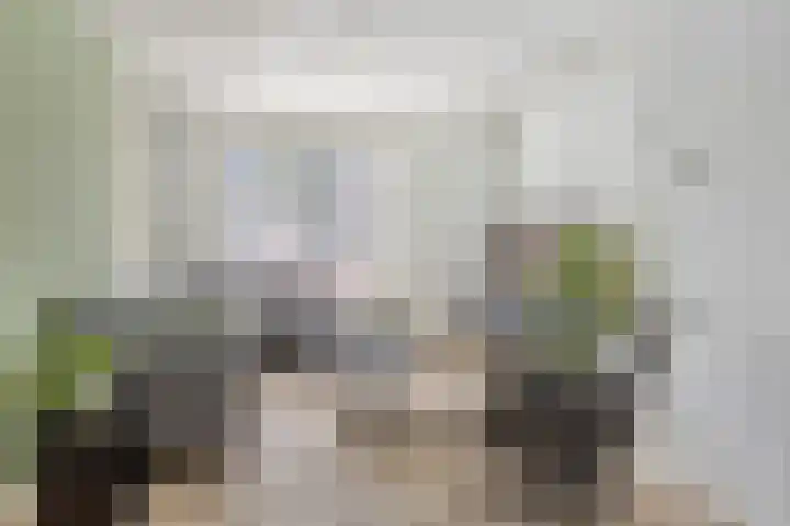 Westdam 88 Sas van Gent thumbnail 6