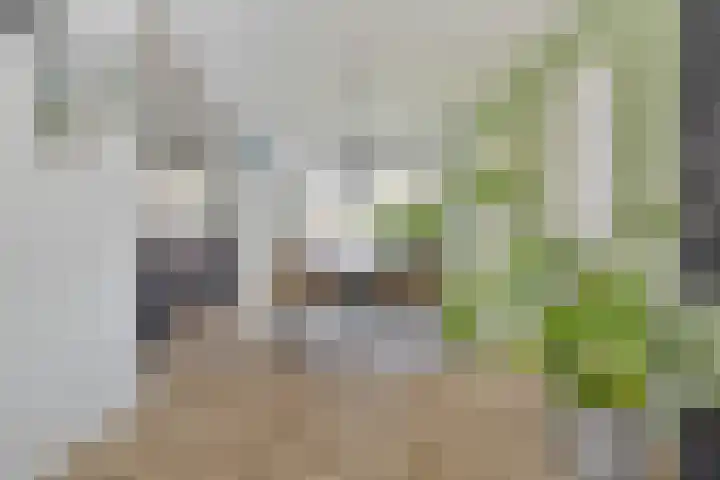 Westdam 88 Sas van Gent thumbnail 9
