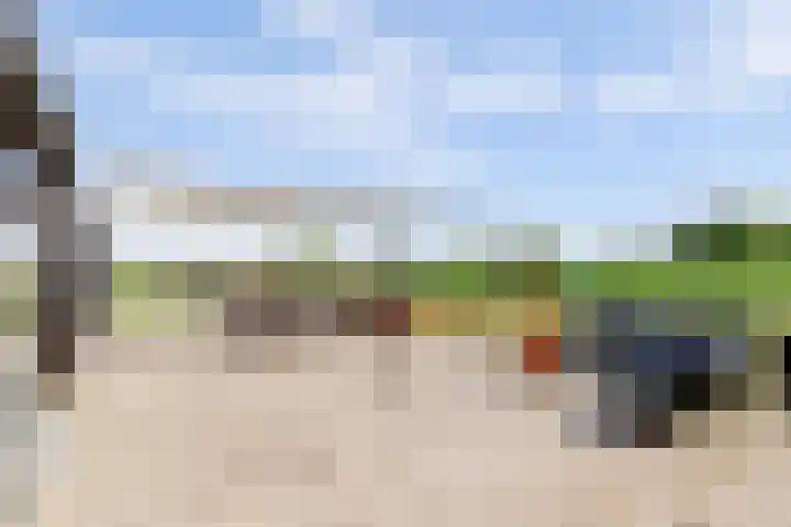 Westdijk 12 B Zuidschermer thumbnail 31
