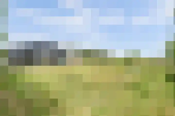Westdijk 12 B Zuidschermer thumbnail 33
