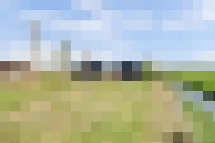 Westdijk 12 B Zuidschermer thumbnail 37