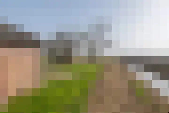 Westdijk 12 B Zuidschermer thumbnail 4