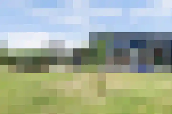 Westdijk 12 B Zuidschermer thumbnail 43