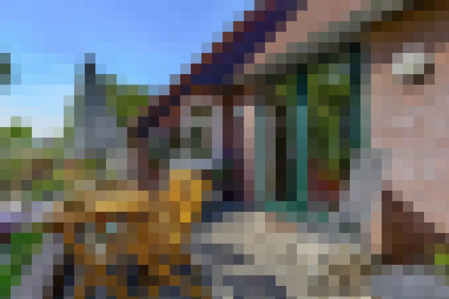 Westdijk 21 Nieuwe-Tonge thumbnail 31
