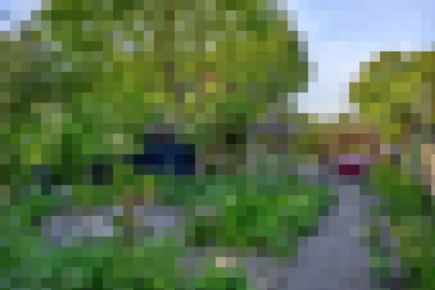 Westdijk 21 Nieuwe-Tonge thumbnail 33